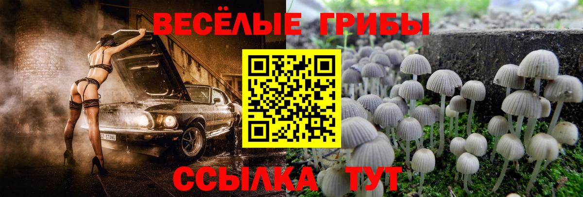Галлюциногенные грибы прущие грибы Фролово